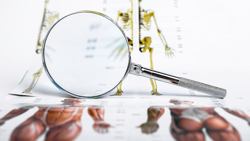 他と何が違うのか？